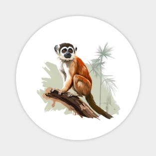 Squirrel Monkey Magnet